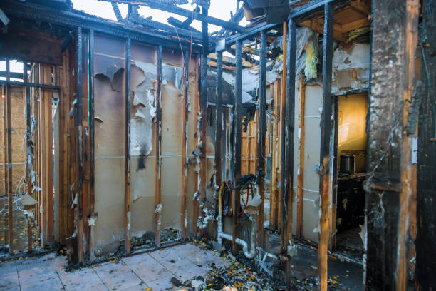 Professional Fire Damage Removal technician working in Arnold, PA